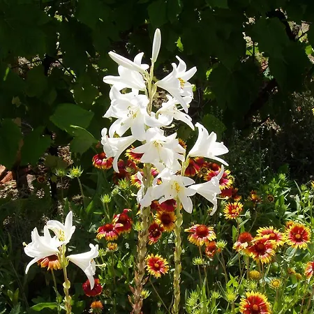 Katalin Apartmanhaz * Zalakaros